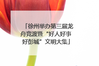徐州举办第三届龙舟竞渡暨“好人好事好彭城”文明大集