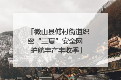微山县傅村街道织密“三夏”安全网 护航丰产丰收季