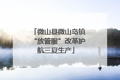微山县微山岛镇“放管服”改革护航三夏生产