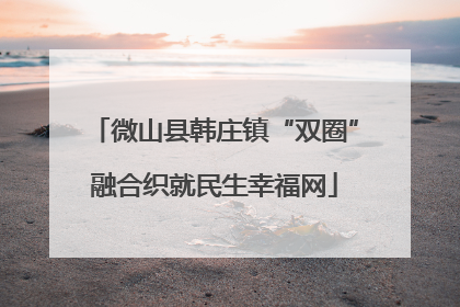 微山县韩庄镇“双圈”融合织就民生幸福网