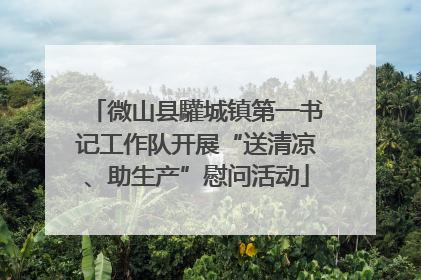 微山县驩城镇第一书记工作队开展“送清凉、助生产”慰问活动