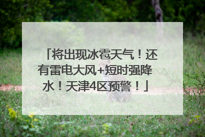 将出现冰雹天气！还有雷电大风+短时强降水！天津4区预警！
