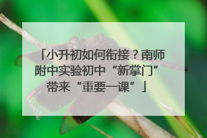 小升初如何衔接？南师附中实验初中“新掌门”带来“重要一课”
