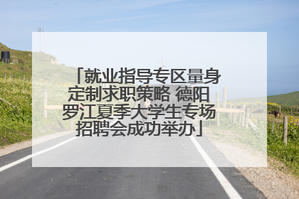 就业指导专区量身定制求职策略 德阳罗江夏季大学生专场招聘会成功举办