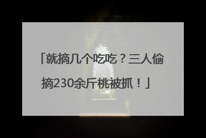 就摘几个吃吃？三人偷摘230余斤桃被抓！