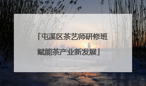 屯溪区茶艺师研修班赋能茶产业新发展