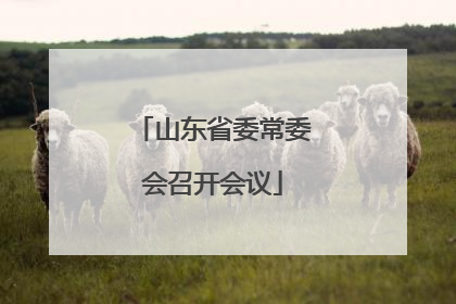 山东省委常委会召开会议