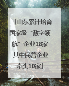 山东累计培育国家级“数字领航”企业18家 其中民营企业牵头10家