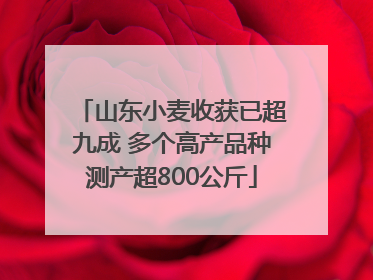 山东小麦收获已超九成 多个高产品种测产超800公斤