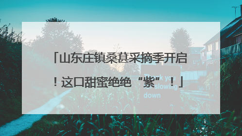 山东庄镇桑葚采摘季开启！这口甜蜜绝绝“紫”！