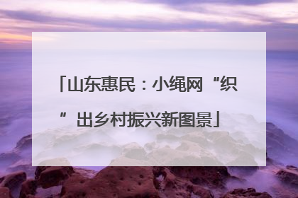 山东惠民：小绳网“织”出乡村振兴新图景