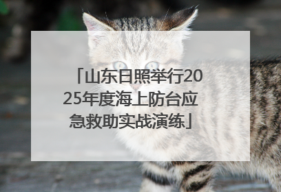 山东日照举行2025年度海上防台应急救助实战演练