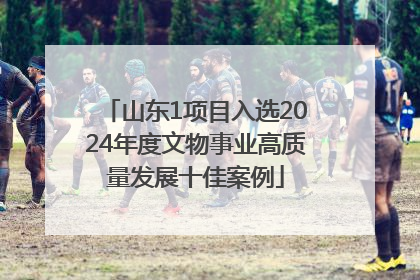 山东1项目入选2024年度文物事业高质量发展十佳案例