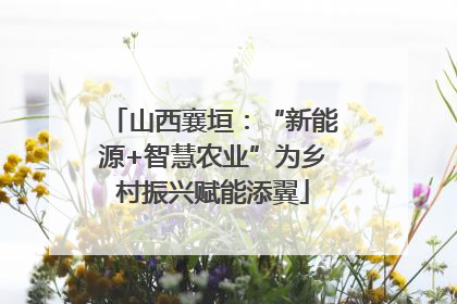山西襄垣：“新能源+智慧农业”为乡村振兴赋能添翼