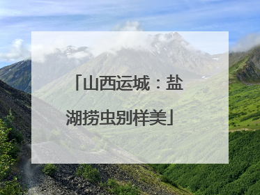 山西运城：盐湖捞虫别样美