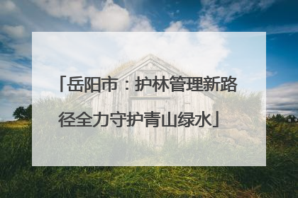 岳阳市：护林管理新路径全力守护青山绿水