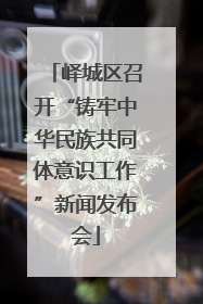 峄城区召开“铸牢中华民族共同体意识工作”新闻发布会