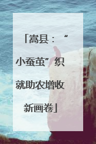 嵩县：“小蚕茧”织就助农增收新画卷