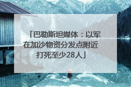 巴勒斯坦媒体：以军在加沙物资分发点附近打死至少28人