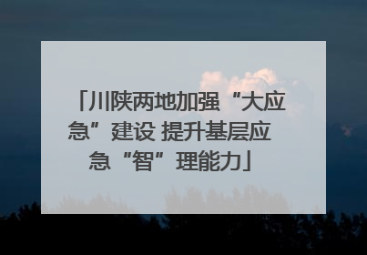 川陕两地加强“大应急”建设 提升基层应急“智”理能力