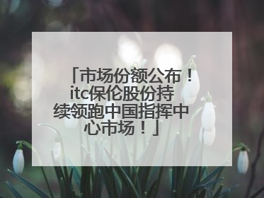 市场份额公布！itc保伦股份持续领跑中国指挥中心市场！