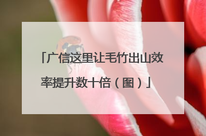 广信这里让毛竹出山效率提升数十倍（图）