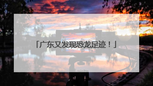广东又发现恐龙足迹！