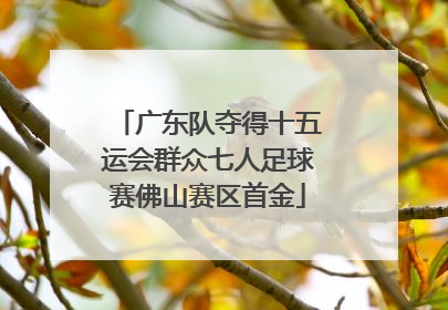 广东队夺得十五运会群众七人足球赛佛山赛区首金