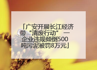 广安开展长江经济带“清废行动” 一企业违规倾倒500吨污泥被罚8万元