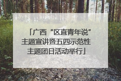 广西“区直青年说”主题宣讲暨五四示范性主题团日活动举行
