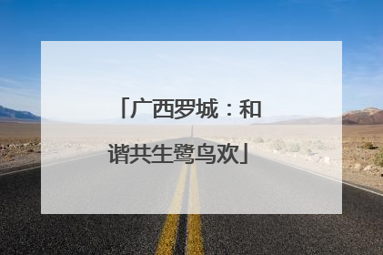 广西罗城：和谐共生鹭鸟欢