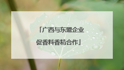 广西与东盟企业促香料香精合作