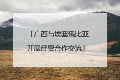 广西与埃塞俄比亚开展经贸合作交流