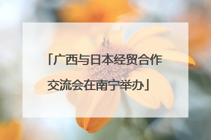 广西与日本经贸合作交流会在南宁举办