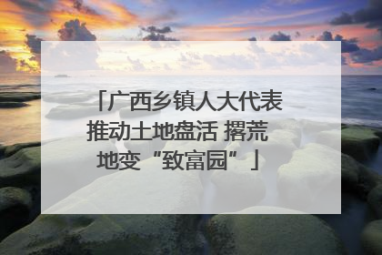 广西乡镇人大代表推动土地盘活 撂荒地变“致富园”