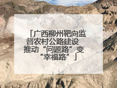 广西柳州靶向监督农村公路建设 推动“问题路”变“幸福路”