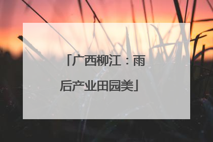 广西柳江：雨后产业田园美
