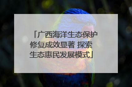 广西海洋生态保护修复成效显著 探索生态惠民发展模式