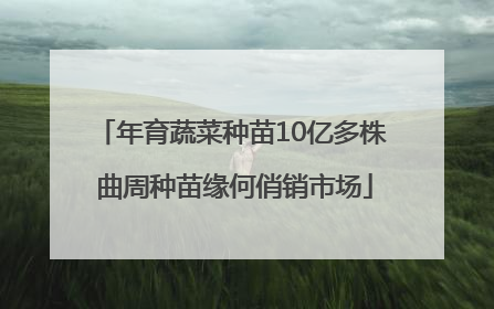 年育蔬菜种苗10亿多株 曲周种苗缘何俏销市场