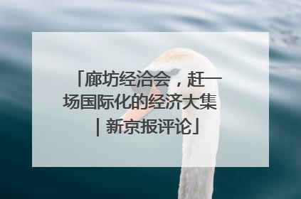 廊坊经洽会，赶一场国际化的经济大集｜新京报评论