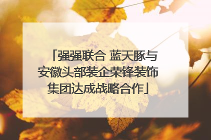 强强联合 蓝天豚与安徽头部装企荣锋装饰集团达成战略合作