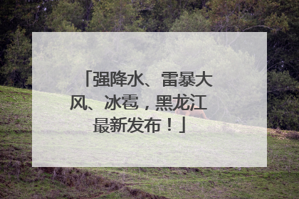 强降水、雷暴大风、冰雹，黑龙江最新发布！