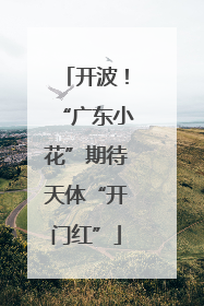 开波！“广东小花”期待天体“开门红”