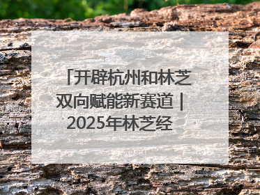 开辟杭州和林芝双向赋能新赛道｜2025年林芝经济开发区招商引资（杭州）推介展销活动在杭举办