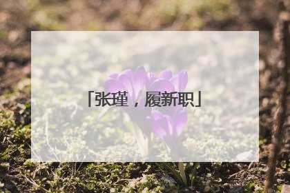 张瑾，履新职