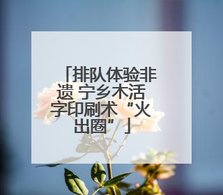 排队体验非遗 宁乡木活字印刷术“火出圈”