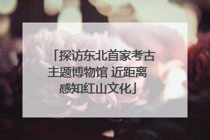 探访东北首家考古主题博物馆 近距离感知红山文化