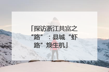 探访浙江共富之“路”：县城“虾路”焕生机