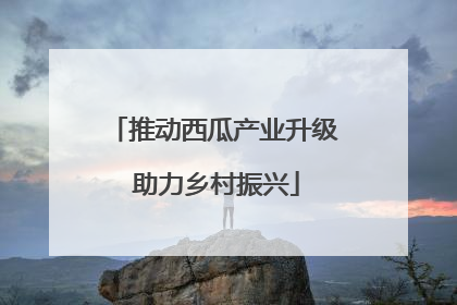 推动西瓜产业升级 助力乡村振兴