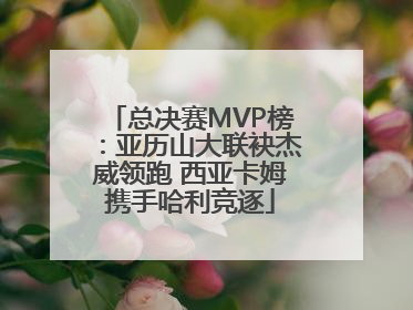 总决赛MVP榜：亚历山大联袂杰威领跑 西亚卡姆携手哈利竞逐
